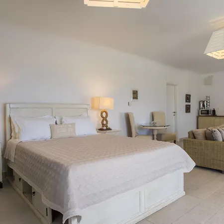 Chrysalis Nature 8 Διαμέρισμα Πάρος